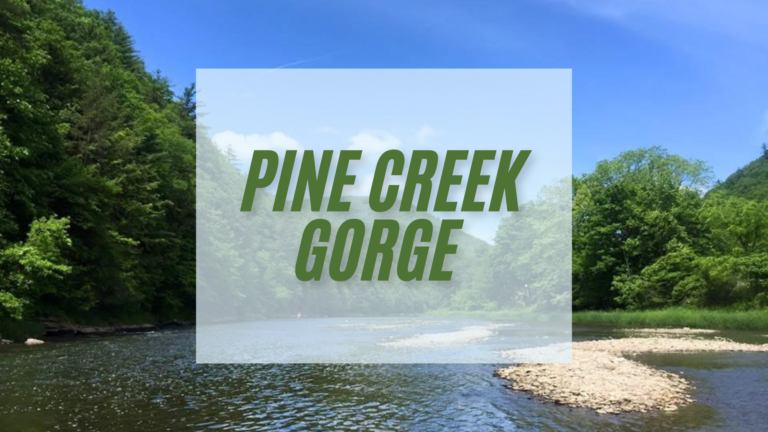 Pine Creek Gorge - The RV Shop